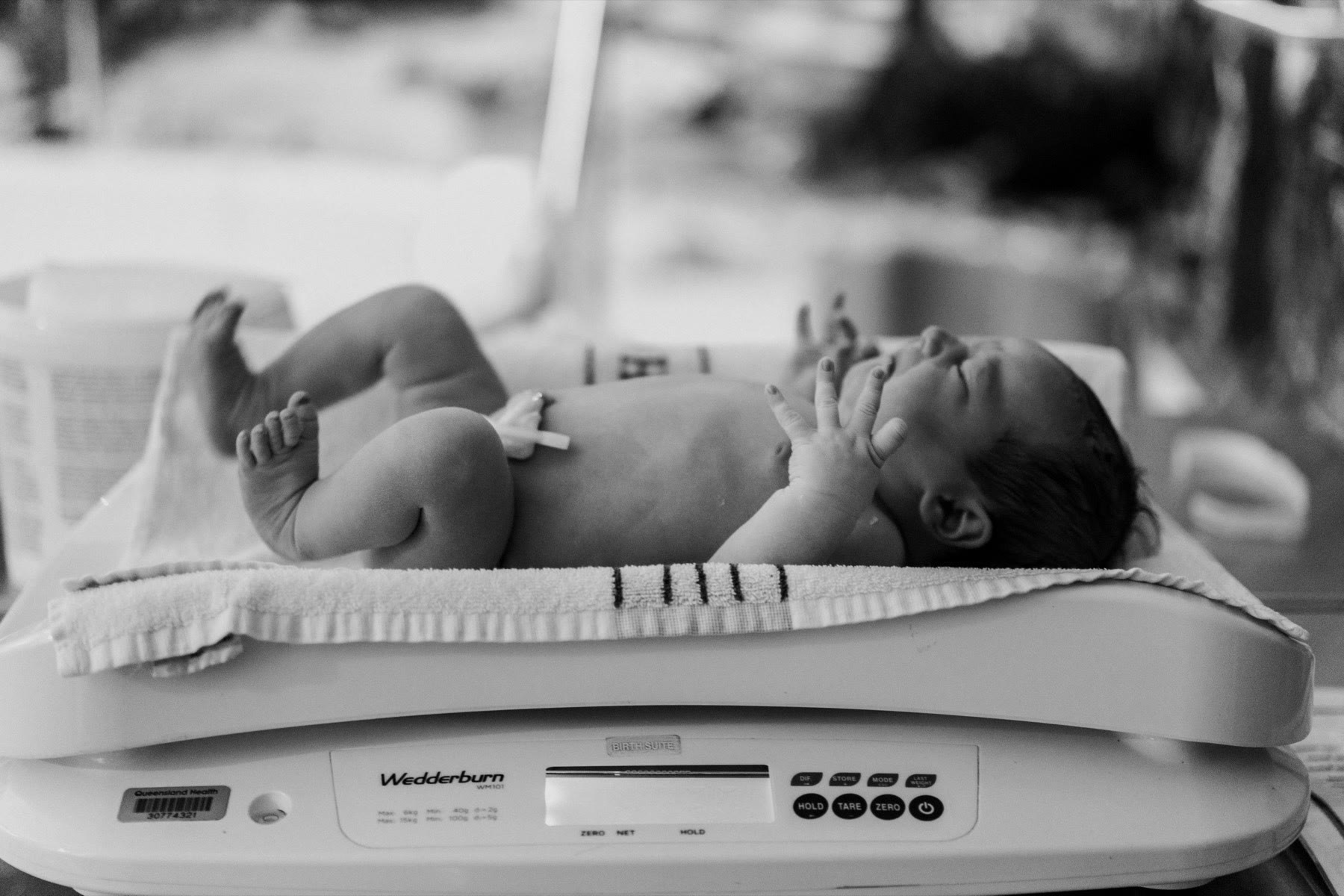 Birth of Goldie ~ Bec Zacher Gold Coast Photographer-95.jpg Birth of Goldie Grace Withers, shot by Bec Zacher